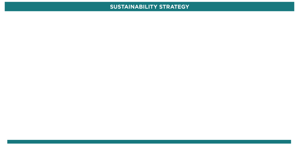 Sustainability Strategy - report finding 2